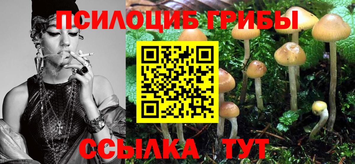 Галлюциногенные грибы ЛСД Шатура